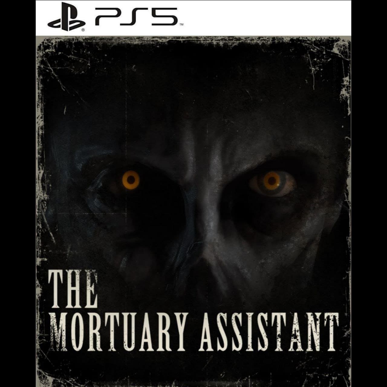 The Mortuary Assistant PS5