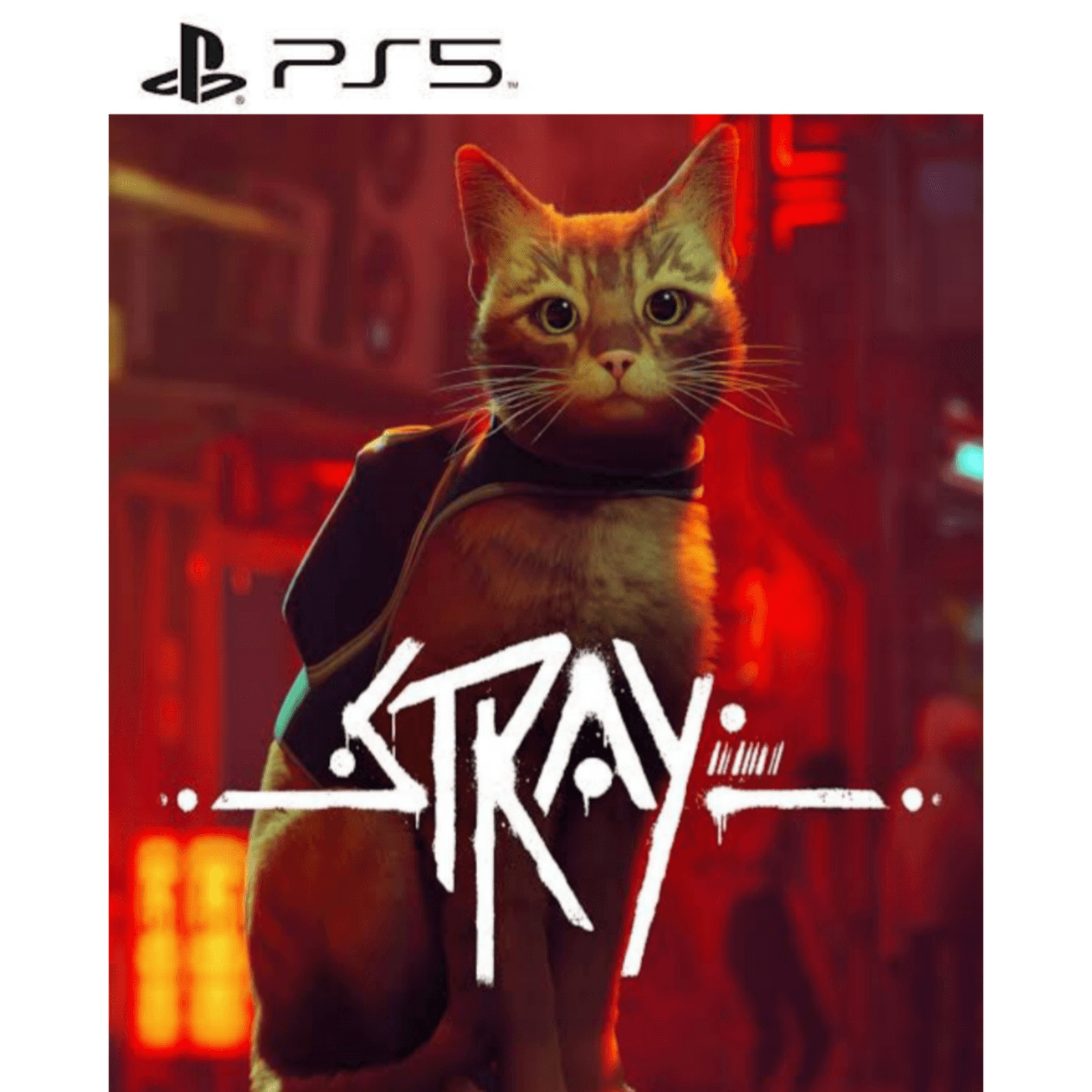 Stray PS5 Europa