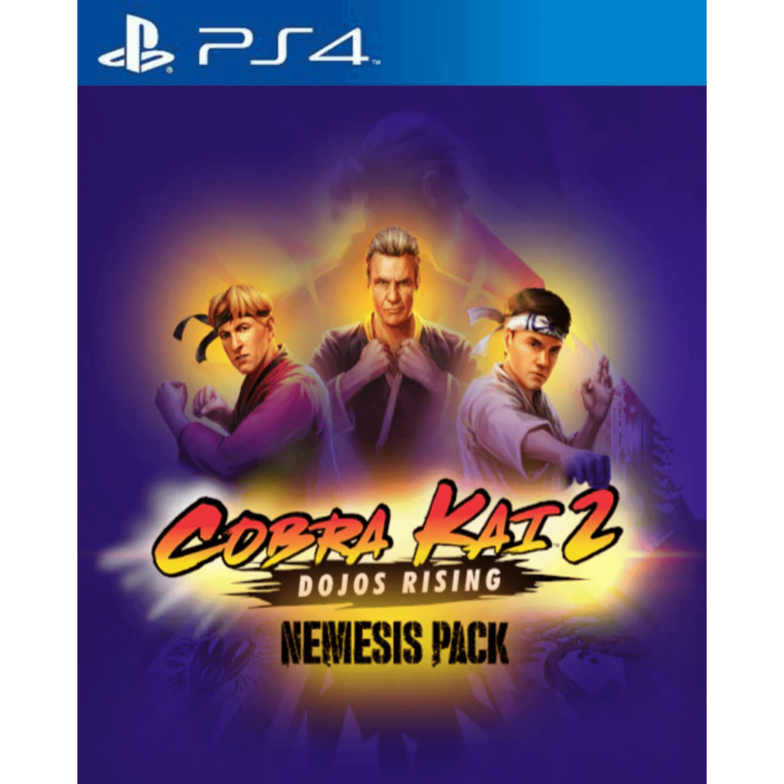 Cobra Kai 2 Dojos Rising Nemesis Edition PS4