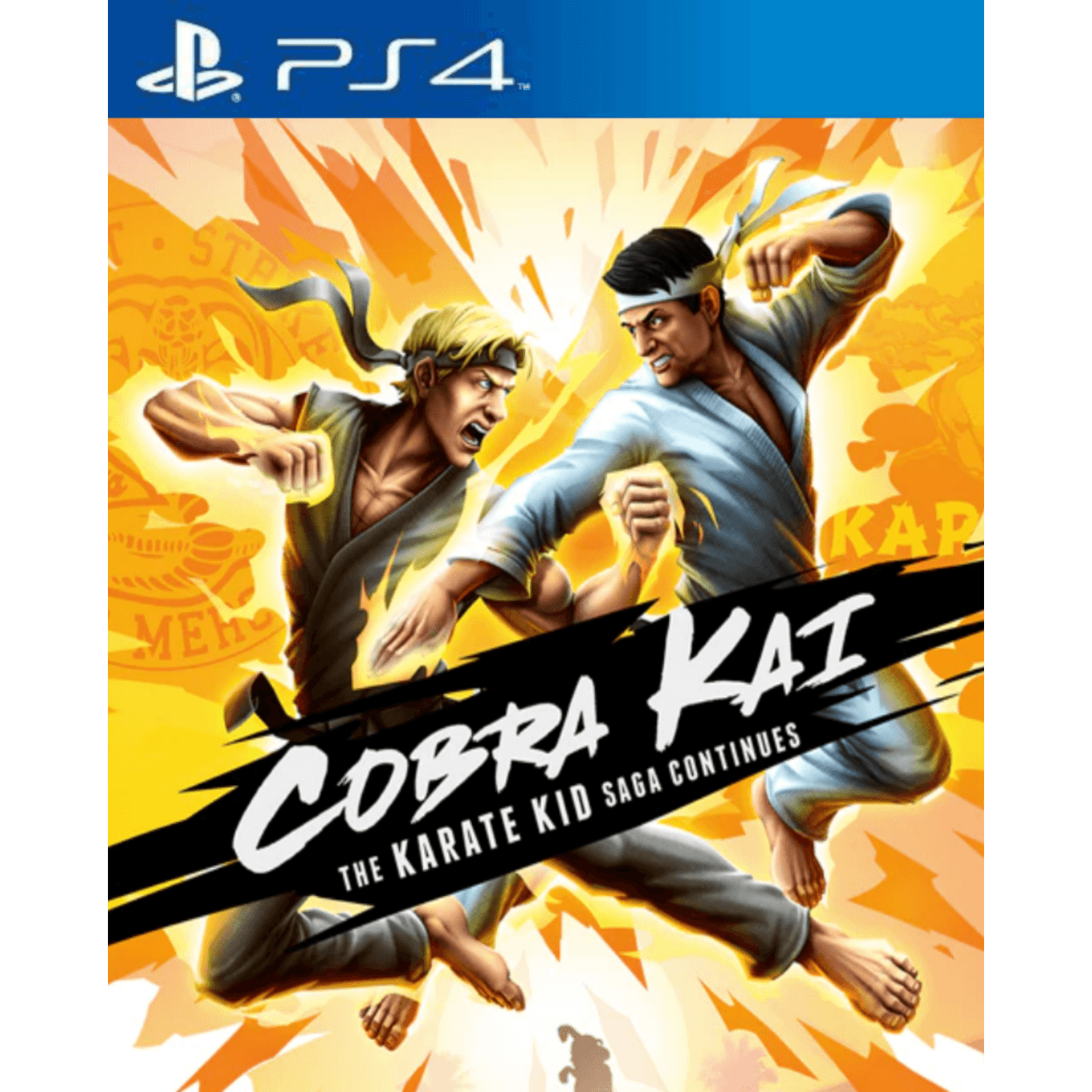 Cobra Kai The Karate Kid Saga Continues PS4